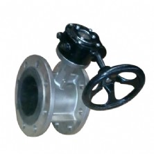 Stainless steel butterfly valve D343W-16P