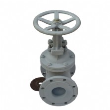 The standard gate valves Z41H-16C