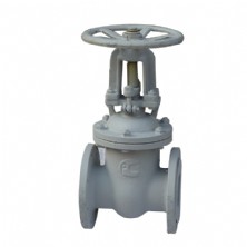 The standard gate valves Z41H-16C