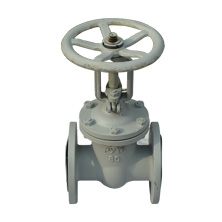 The standard gate valves Z41H-16C