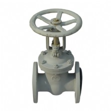 The standard gate valves Z41H-16C