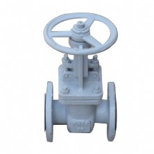 The standard gate valves Z41H-16C