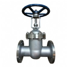 Stainless steel gate valve Z41W-16P