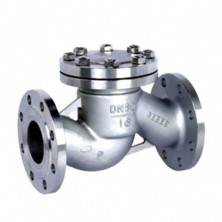 316L Stainless steel flange check valve