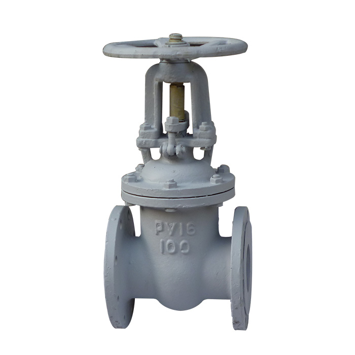 The standard gate valves Z41H-16C
