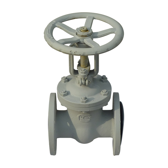 The standard gate valves Z41H-16C