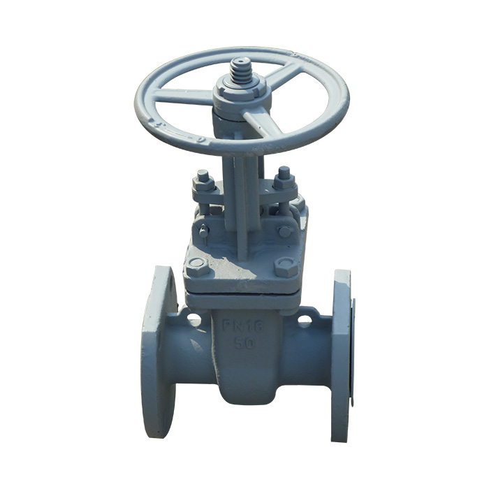 The standard gate valves Z41H-16C