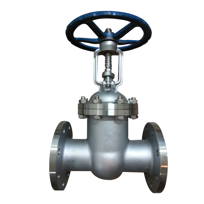 Stainless steel gate valve Z41W-16P