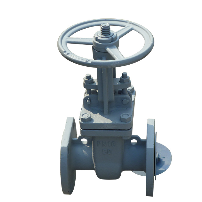 The standard gate valves Z41H-16C